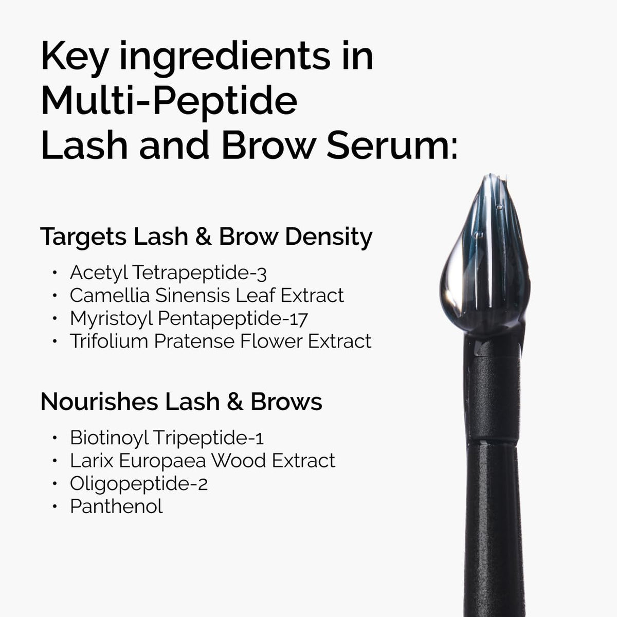 The Ordinary Peptide Power Duo, Skin Care Serum Set, Multi-Peptide + Copper Peptides 1%, Lash and Brow Serum